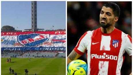 Луис Суарес