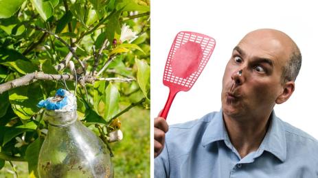 златно време