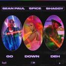 Spice ft. Sean Paul and Shaggy - Go Down Deh