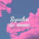RAYE & RUDIMENTAL - REGARDLESS