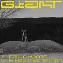 CALVIN HARRIS FT. RAG'N'BONE MAN - GIANT
