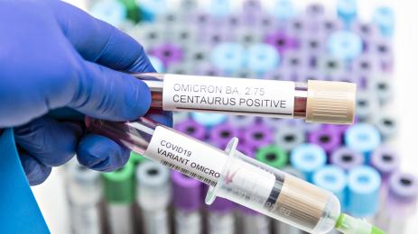 коронавирус омикрон