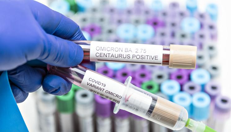 коронавирус омикрон - COVID СЕ ЗАВЪРНА: Увеличават се болните в 9 области