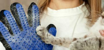 4 лесни начина да се погрижим за падащата козина на котката през лятото