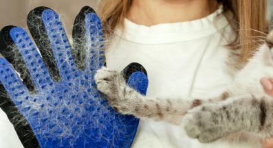 котка четкане