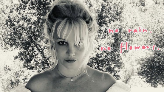 Какво се случва с попечителството над Britney Spears