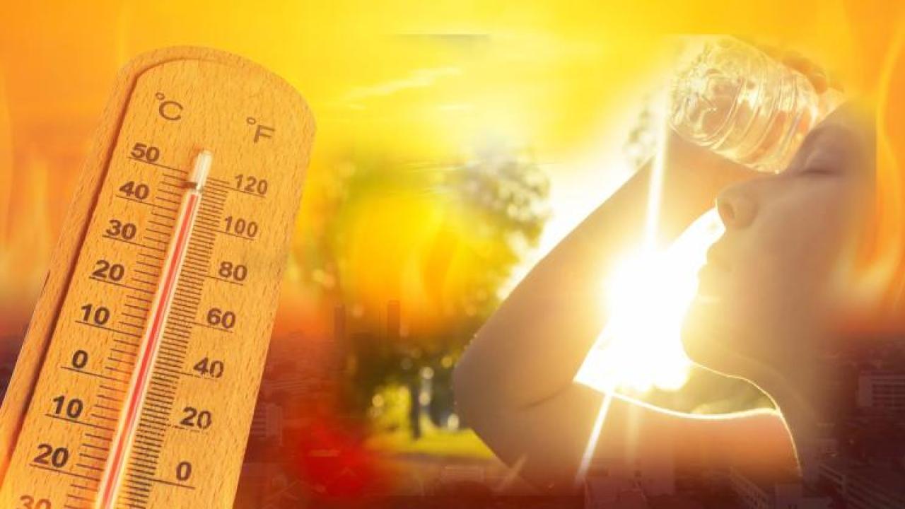 жега времето