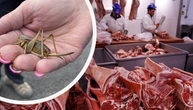 месо протеини - Какво ще ядем след 20 години?