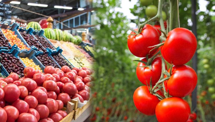 домат - РАЗГЕЛЕ: Доматът евтин след 10 дни!