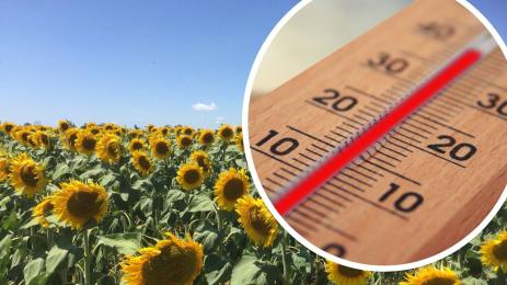 температура агро прогноза