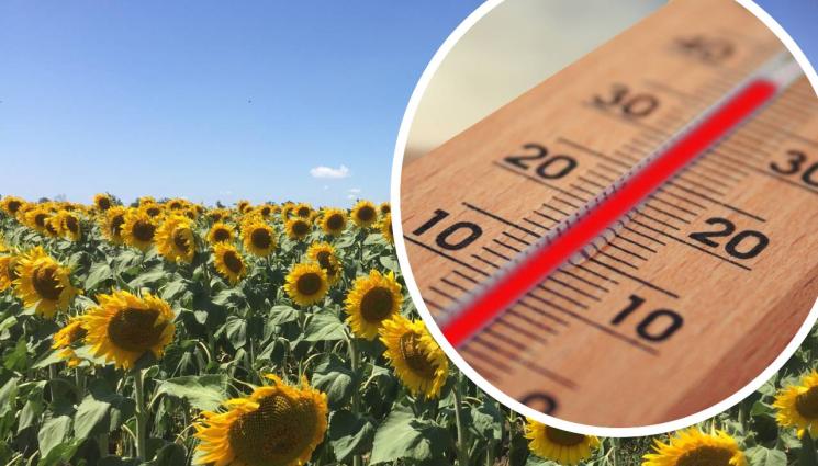 температура агро прогноза - Агро Телеграф: Екстремните жеги отстъпват
