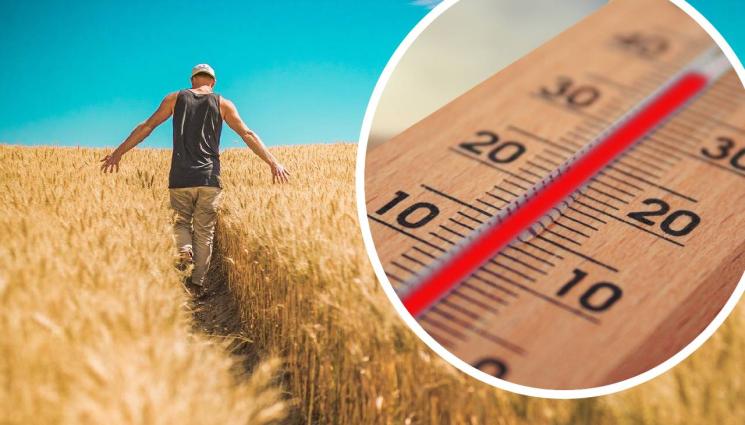 агро - Агро Телеграф: Най-много смъртни случаи от жегите има при земеделците