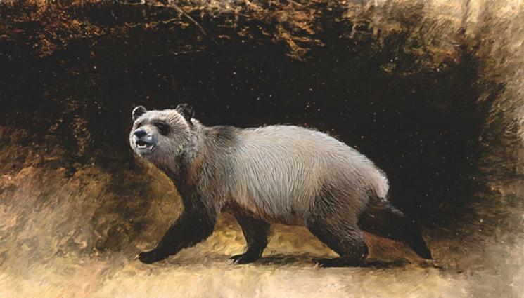 панда - Преди 6 милиона години: Непознат вид панда обитавал земите ни