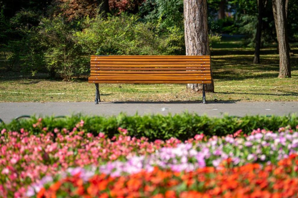 41 нови пейки бяха дарени и поставени в Градския парк