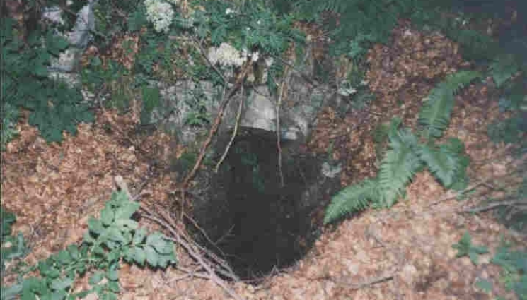 Невестина пропаст - Мистерия около смъртта на Хлебарката. Разследват дали някой не му е помогнал да загине в мутренското гробище на Врачанския Балкан