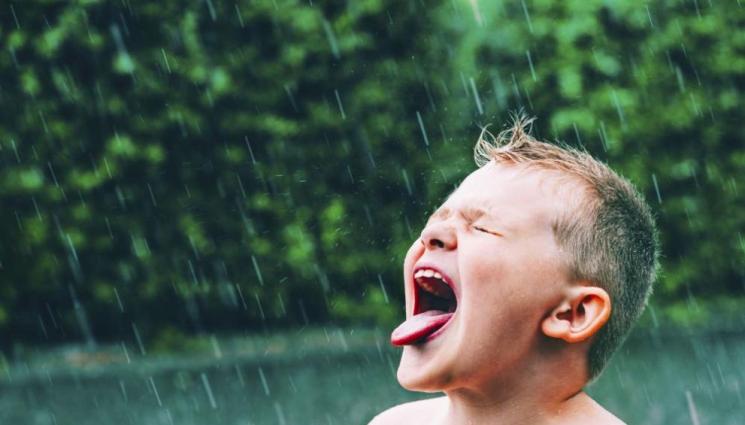 дъжд - ВНИМАНИЕ: Пиенето на дъждовната вода води до проблеми с плодовитостта