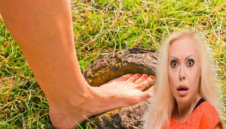 Албена Вулева - ХИГИЕНА НУЛЕВА: Албена Вулева в сблъсък с изпражнение (ВИДЕО)