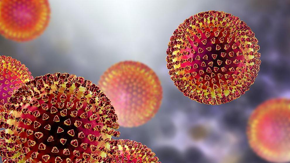 Учени от Китай и Сингапур идентифицираха нов хенипавирус, който може