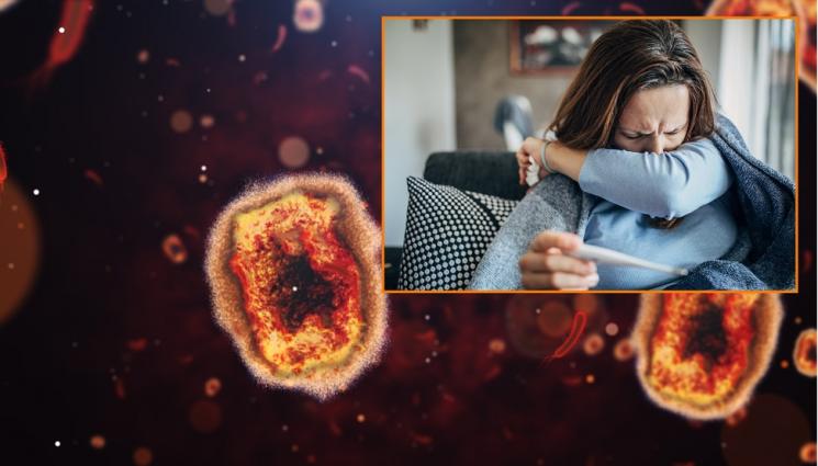 вирус - НОВА НАПАСТ НА ХОРИЗОНТА: Непознат хенипавирус поваля наред в Китай, редица симптоми морят болните