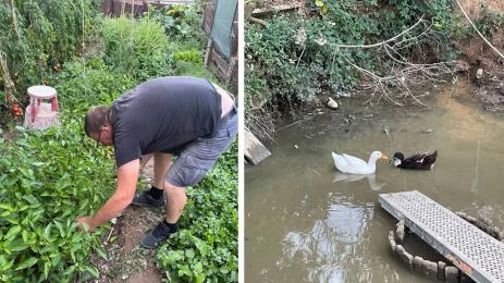 полиаване на градина