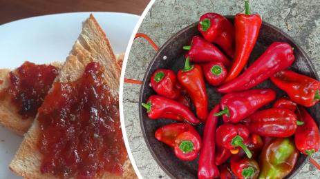 чушки сладко