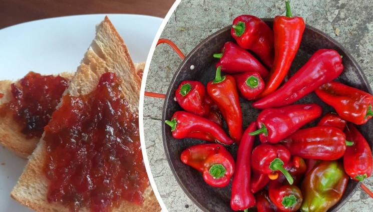 чушки сладко - Агро Телеграф: Сладко от чушки или експлозия за сетивата (РЕЦЕПТА)