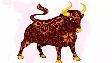 Златорог бик