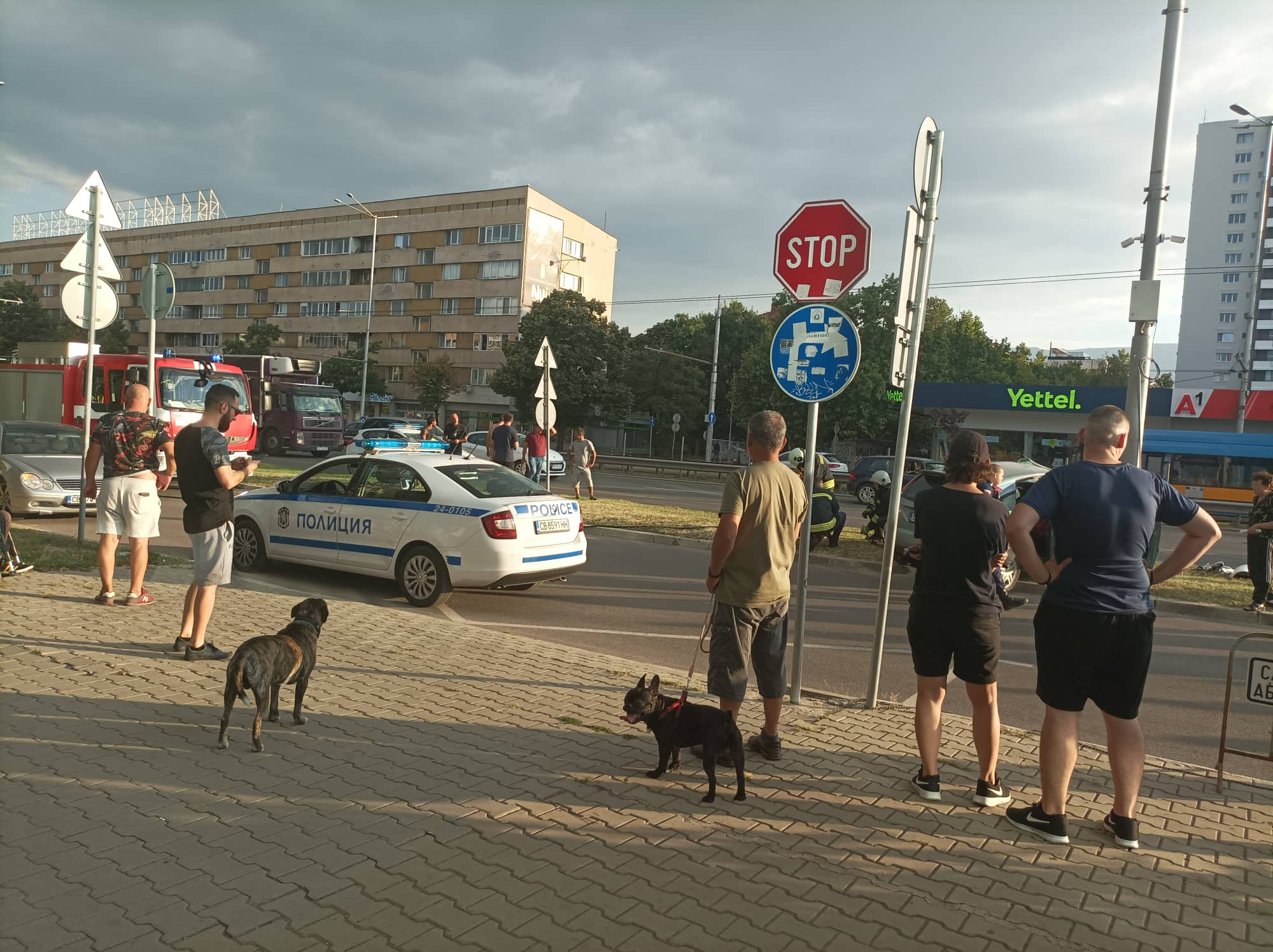 катастрофа Плиска