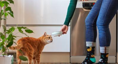 Котешка храна