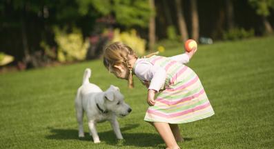 дете и куче