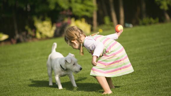 Защо някои кучета не харесват деца и как да им помогнем да се сприятелят