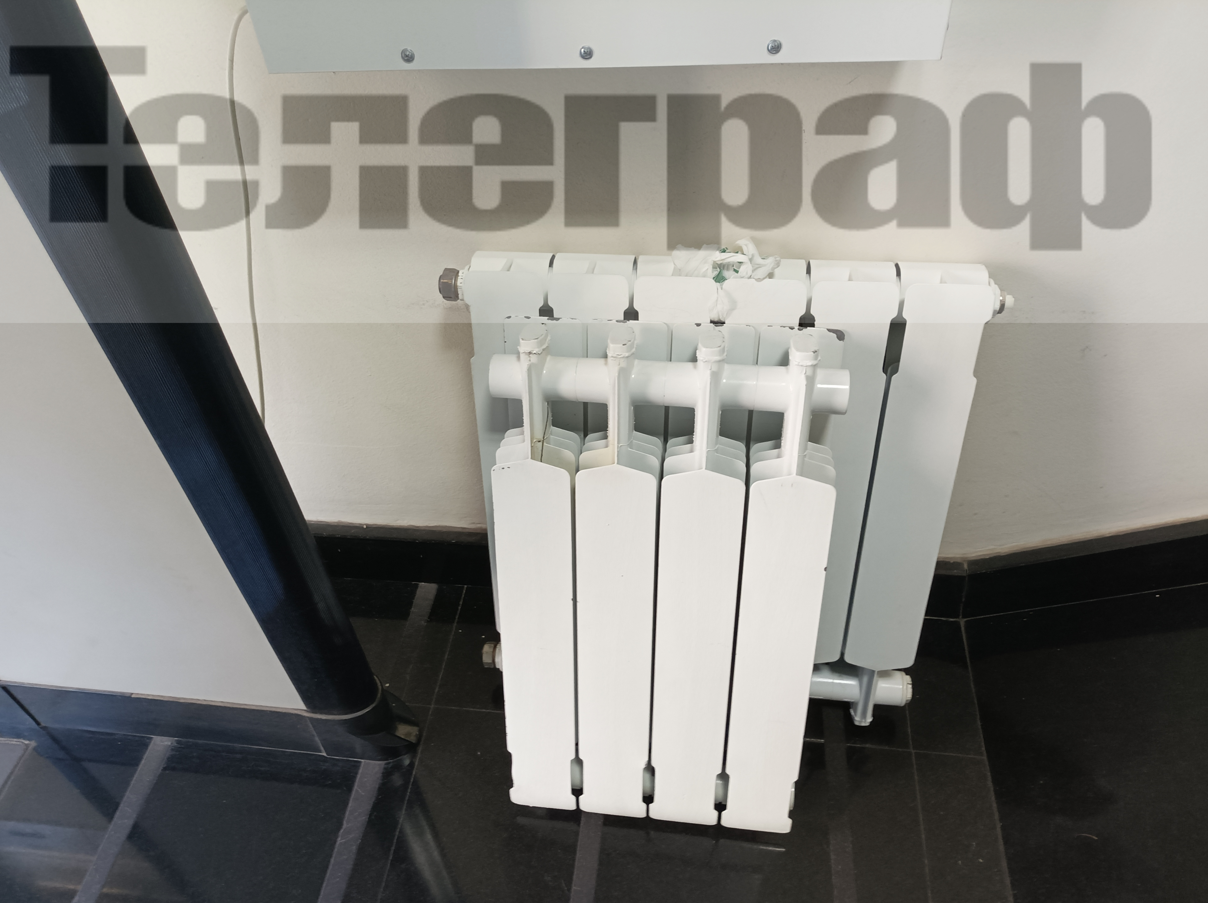 МАЯ МАНОЛОВА