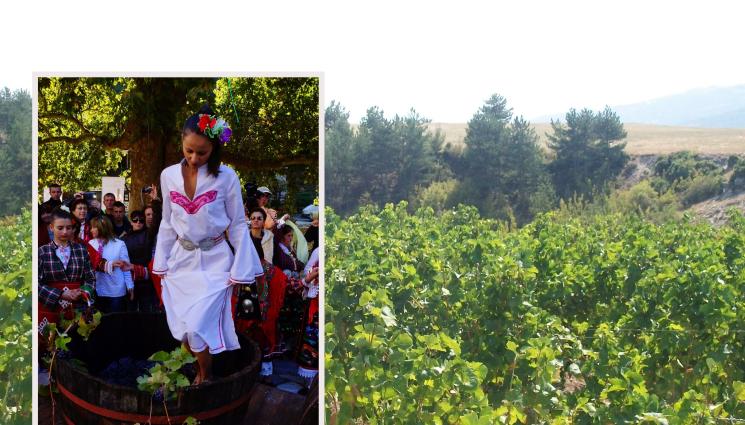 керацуда - И боговете мечтаят за пиринска керацуда