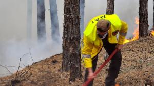 Пожари бушуват в няколко области в страната Борбата с огнените