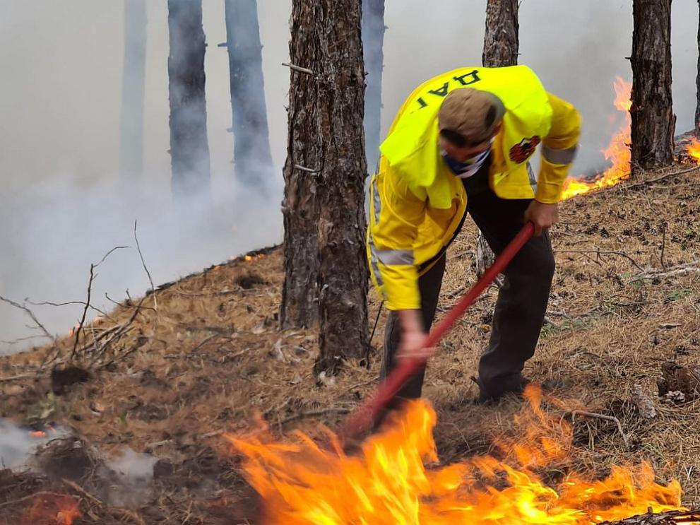 Пожари бушуват в няколко области в страната. Борбата с огнените