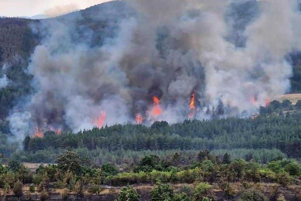 Пламъци обхванаха горски масив над град Нови Искър. Това потвърди