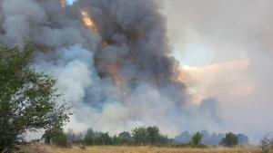 Огромен горски пожар между селата Елшица и Левски