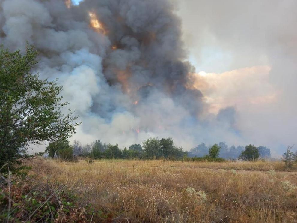 Районната прокуратура в Пазарджик разследва причините за огромния пожар край