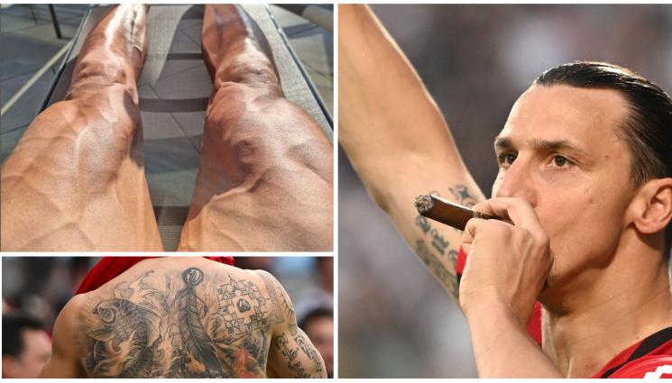 Ибрахимович - Златан отново култов: Когато лъвът си тръгне, котките идват, когато лъвът се върне, котките бягат!