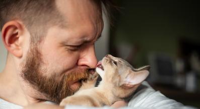 котка ближе собственик