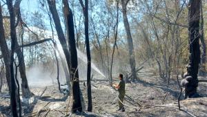 Голям пожар бушува в Сакар планина между трите села Полски