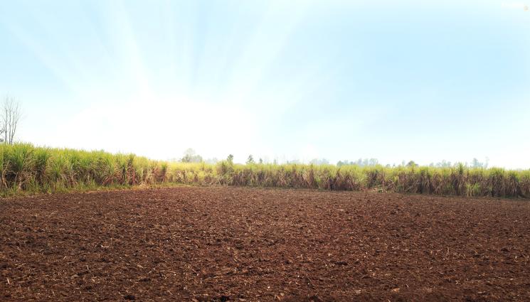 земя - МИСТЕРИЯ: Страшен шум под земята се чу в още едно турско село