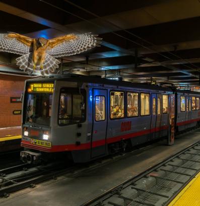 метро ястреб