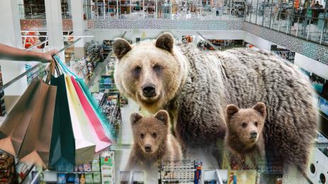 мечка шопинг