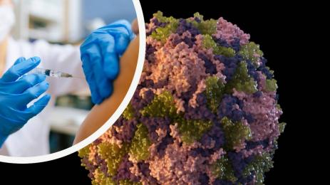 вирус ваксина