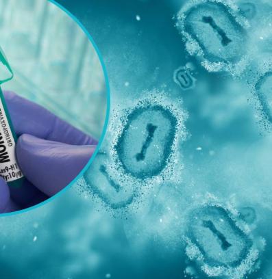 маймунска шарка