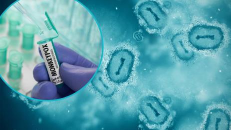 маймунска шарка