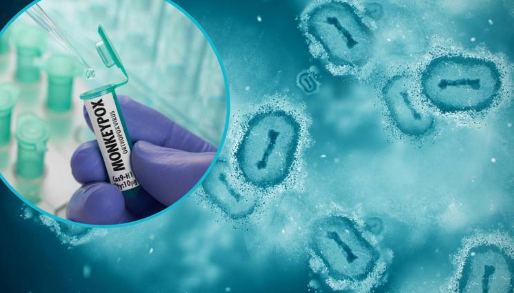 маймунска шарка