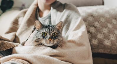 котка и стопанин