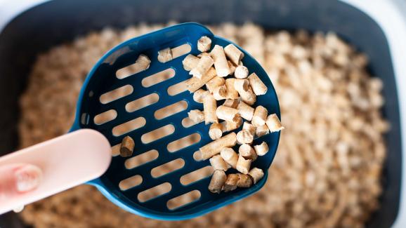 растителна постелка за котешка тоалетна